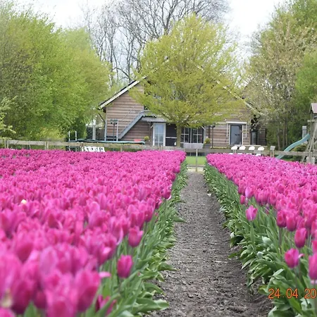 Дом отдыха In Noordbeemster With Bubble Bath