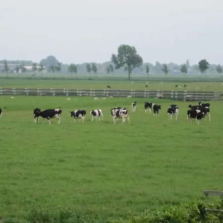 In Noordbeemster With Bubble Bath 度假居 *